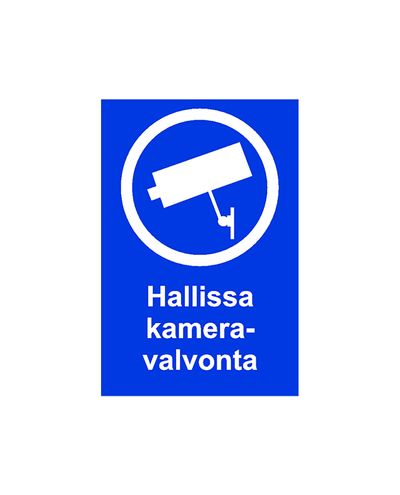 Hallissa kameravalvonta, Tarra, 200x300 mm
